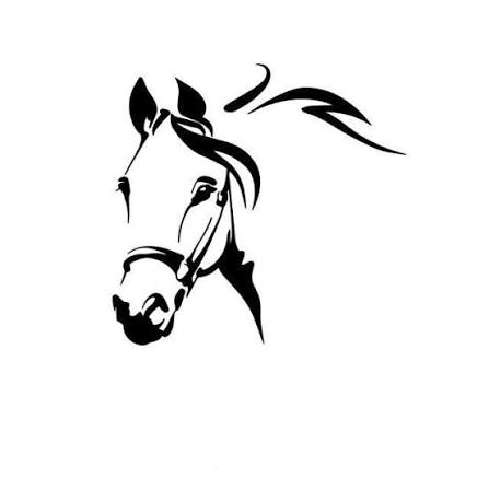 Cadeau Cheval Coupons and Promo Code