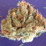 Whiteout Weed Strain Information | Leafly