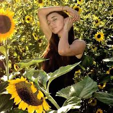 Reabren jardín de girasoles en Yucatán – Yucatan Ahora