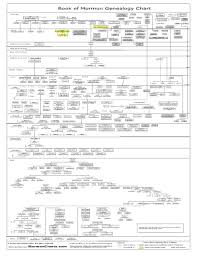 22 Printable Smith Chart Forms And Templates Fillable