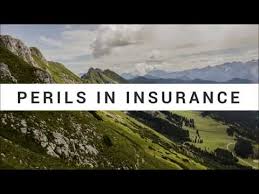 A peril is a risk, such as a fire or burglary, that can damage your home or your belongings. Perils In Insurance Named Peril Open Peril Policy Insured Excluded Uninsured Perils Tampa Insurance Group