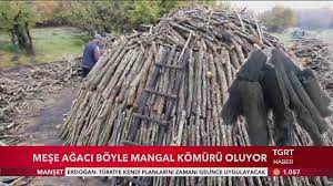 Mangal keyfinin türk insanının en önemli zevkleri arasında olduğunu hepimiz bilmekteyiz. Mese Agaci Nasil Mangal Komuru Olur Youtube