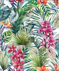 Free for commercial use no attribution required high quality images. Superfresco Easy Aloha Tropical Wallpaper Dulux Decorator Centre