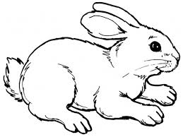 Coloriage A Imprimer Lapins Coloriage Lapin Coloriage Dessin Lapin