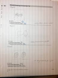 Remember that mitosis in an onion root tip normally takes about 80 minutes at room record your answers in the data table. Solved Can Anyone Anwser My Mitosis In Onion Root Tips Di Chegg Com