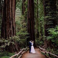 Kyle And Ethan Pretty Much Talked Non Stop About How Much The Muir Woods Looked Like The Forest Moo Wedding Photoshoot Poses Adventure Wedding Wedding Pictures