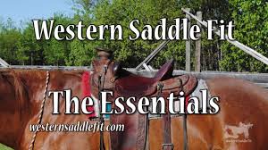 Western Saddle Fit The Essentials