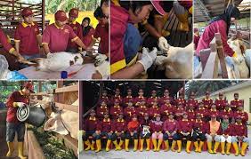 Pria yang memulai karir peternakan kambingnya sejak puluhan tahun yang lalu ini membuat goatzilla farm & cafe sungguh menarik. Mj Fatonah Sdn Bhd Akademi Usahawan