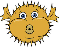 How big is a signed puffer fish print? Pufferfish Clipart Porcupine Fish Drawing Png Download Full Size Clipart 42388 Pinclipart
