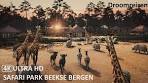 Safari Park Beekse Bergen 2023 - [4K] Ultra HD - YouTube