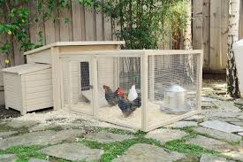 A backyard chicken run is essential for your chicken coop. Q A With New Age Pet 10 Questions About Backyard Chickens New Age Pet The Best For Your Pet