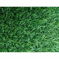 Harga rumput sintetis tipe swiss dan. Jual Karpet Rumput Sintetis Swis 50x50 Cm Rumput Artificial Karpet Rumput Sintetis Rumuput Sintetis Swiss Murah Murah Mei 2021 Blibli