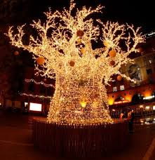 Baobab Christmas Tree Nelson Mandela Square Sandton Johannesburg South Africa African Christmas Christmas In South Africa Summer Christmas