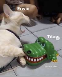 The Bravest Commander In The Whole World Credit Facts Ackerman In 2020 Cats Beautiful Cat Dog Tags