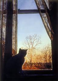 La Ventana Abierta Sobre Literatura Rusa Y Otras Cosas Filhotes De Gatos Gatinhos Adoraveis Vista Da Janela