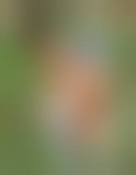 Alizee Ass Outdoor Nude 001 « Celebrity Fakes 4U