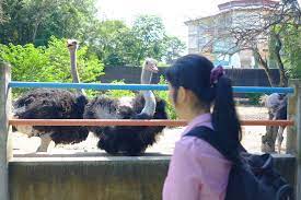 Maybe you would like to learn more about one of these? 9 Wonders Park At Port Dickson 9wonders Malaysia Hydroponics Facebook