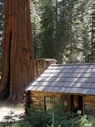 Yosemite Cabins In The Woods Cabins And Cottages Cabin Life