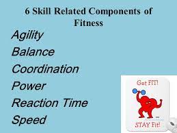 Our typical gym routine goes something like this: Health And Skill Related Components Of Physical Fitness Ppt Download