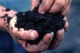 Learn all about vegetable garden soil at howstuffworks. How To Enrich Your Soil Naturally Without Fertilizer One Green Planet