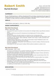 big data developer resume samples