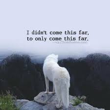 Images I Didn T Come This Far To Only Come This Far I Didn T Come This Far To Only Come This Far Via Thinkpozitive Com Wolf Wolf Love Animals