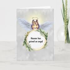 Sheltie Dog Angel Wings Halo Wreath Heaven Card Zazzle Com Dog Angel Sheltie Dogs Pet Sympathy Cards