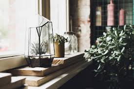 hallesches haus berlin germany small plants haus indoor plants