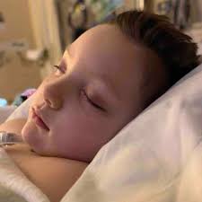 Fundraiser for Megan Lopez by Angie Yount : Talon's Triumph