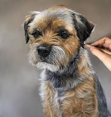 Your image gets printed onto one of our premium canvases and then stretched on a wooden frame of 1.5 x 1.5 stretcher bars (gallery wrap) or 5/8 x 5/8 stretcher bars (museum wrap). New Commission Underway The Sweetest Little Border Terrier 14 5x18 Borderterrier Petportrait Dog Portraits Border Terrier Dog Paintings