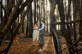 7 Wisata Hutan Pinus Yang Cocok Untuk Prewedding Keepo Me Line Today
