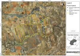 Image result for Pharnaceum brevicaule