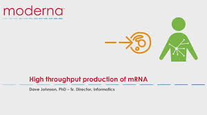 How do mrna vaccines work? High Throughput Production Of Mrna Youtube