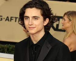 Timothée hal chalamet was born in manhattan, to nicole flender, a real estate broker and dancer, and marc chalamet, a unicef editor. How Tall Is Timothee Chalamet Timothee Chalamet S Age Films Net Worth And Other Capital