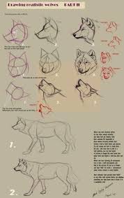 Wolf Zeichnen In Verschiedenen Schritten Mit Hilf Drawing Hilf Mit Schritten Verschiedenen Wolf Zeichnen Realistic Drawings Drawings Sketches