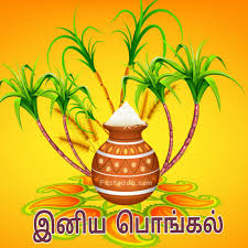 This festival marks the end of the harvest season and the start of the new year. Happy Pongal 2021 Wallpapers Wallpaper Cave