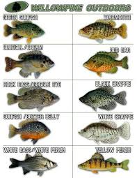 good sunfish chart