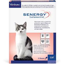 Let's take a look at the risks associated with leaving food out and see how they pertain to different types of cat food. Buy Heartworm Medicine For Cats Kittens Allivet