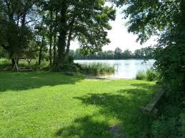 Haus kaufen in mecklenburgische seenplatte vom makler und von privat! Muritz Ferienhaus Direkt Am See