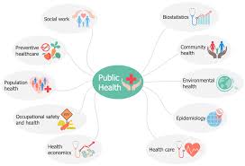 Public Health Demonstrates The Public Health Subfields Social Work Preventive Healthcare In 2020 Infographic Health Health Economics Occupational Health And Safety