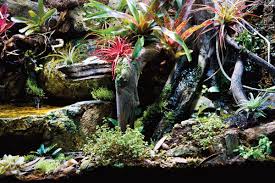 Designing And Building A Vivarium Reptiles Magazine