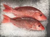Red Snapper - Locals Seafood