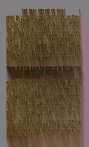 The trail drivers of Texas : interesting sketches of early cowboys and  their experiences