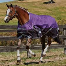 Weatherbeeta Comfitec Plus Dynamic Lite Turnout Sheet