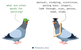 Perusing (usually uncountable, plural perusings). 26 Perusing Synonyms Similar Words For Perusing