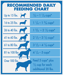 french bulldog feeding chart goldenacresdogs com