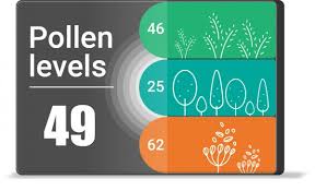 Staying healthy is easier with the right support. A Warm Welcome To Pollen The Newest Addition To Our Api