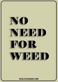 A drug control taleban, a naive proponent of a drug free world, even a general in the war on drugs. Anti Drug Slogans
