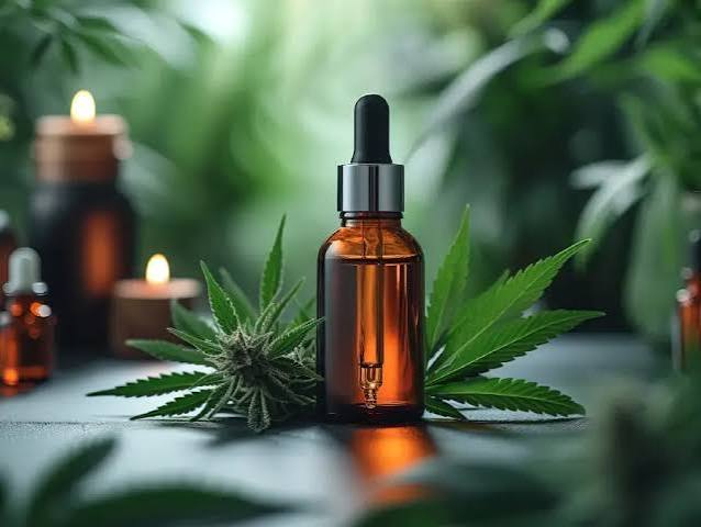 Anúncio de cannabis nas redes sociais desafia regras da Anvisa