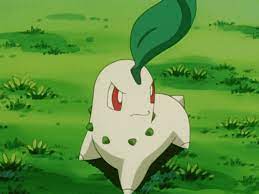 Pokémon GO' Fans Have a Chance to Catch a Shiny Chikorita in September